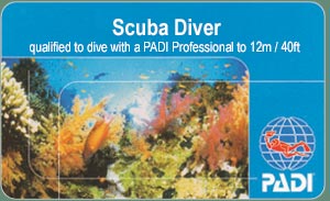 PADI Diving Course - Scuba Diver