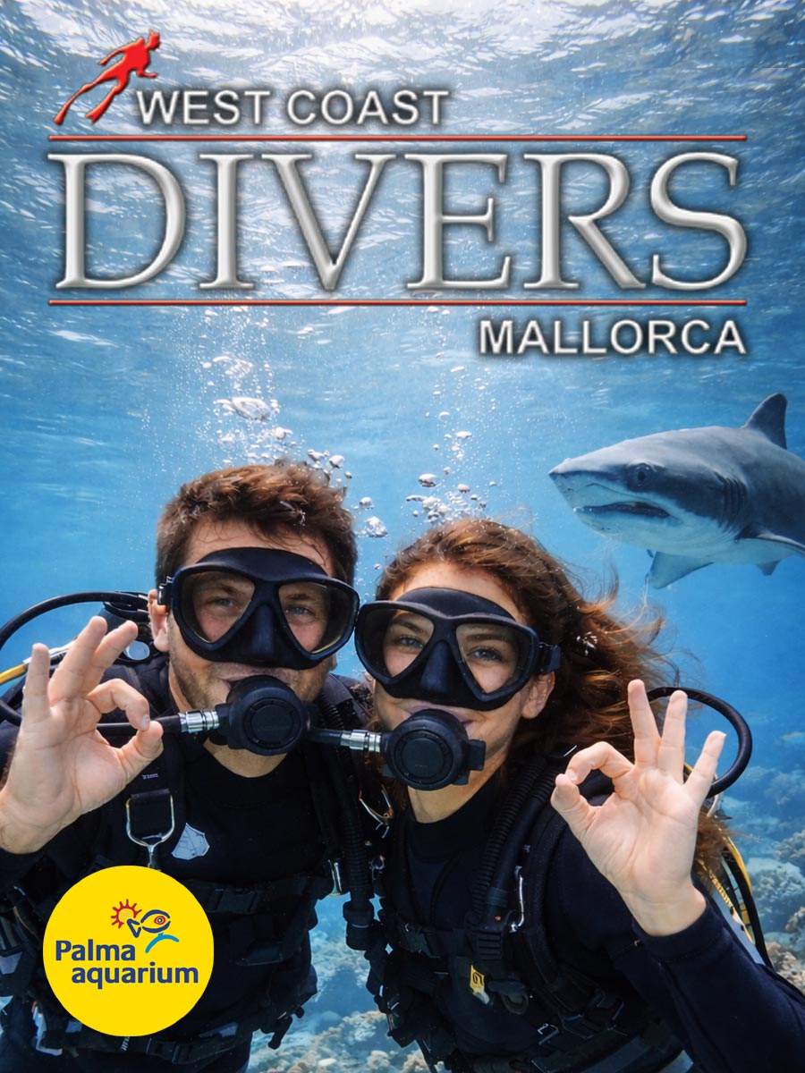 Palma Aquarium Shark Diving