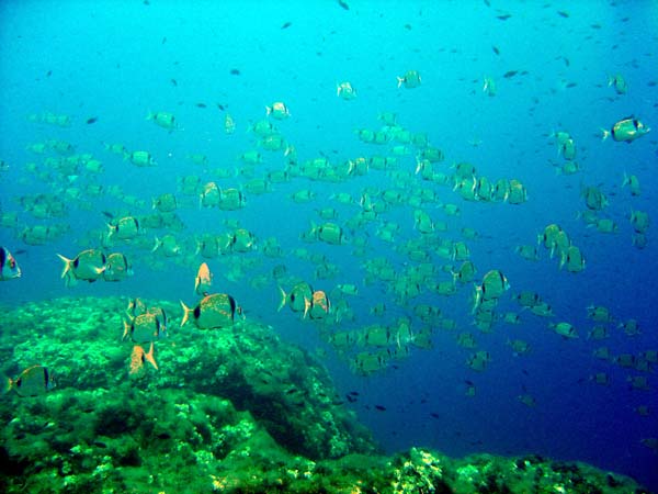Underwater 10