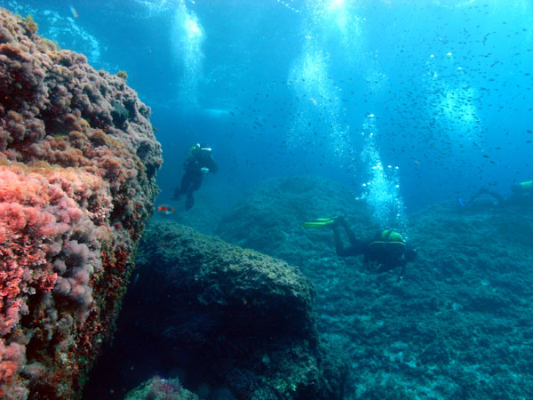 Underwater 3
