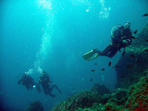 Underwater 5