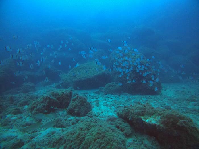 Underwater 6
