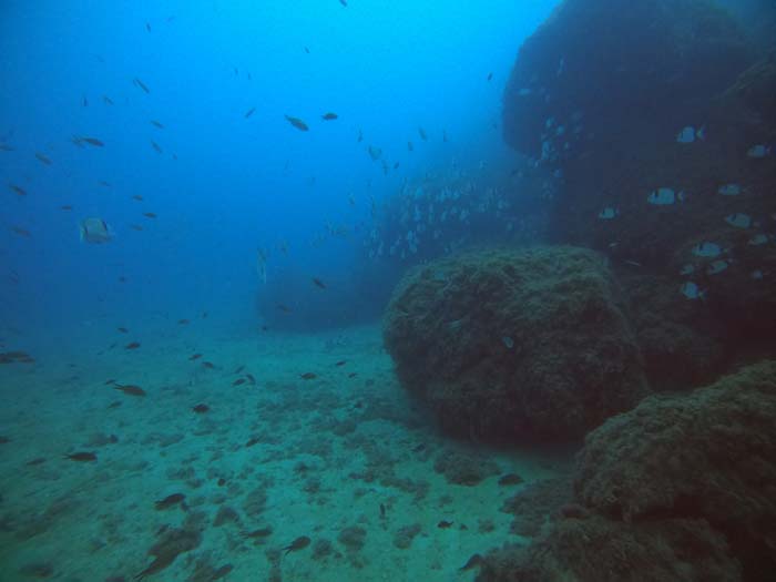 Underwater 7