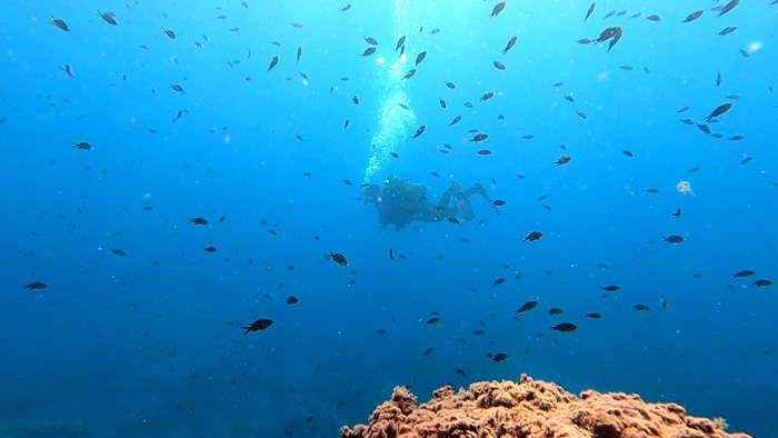 Underwater 7