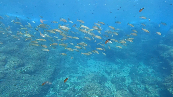 Underwater 9