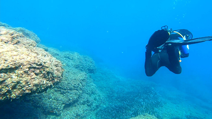 Underwater 2