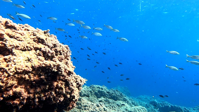 Underwater 3