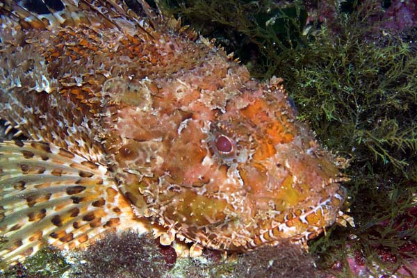 Underwater 10