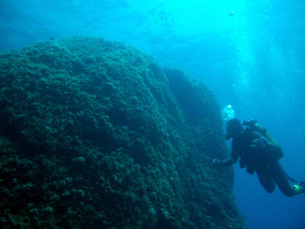 Underwater 9