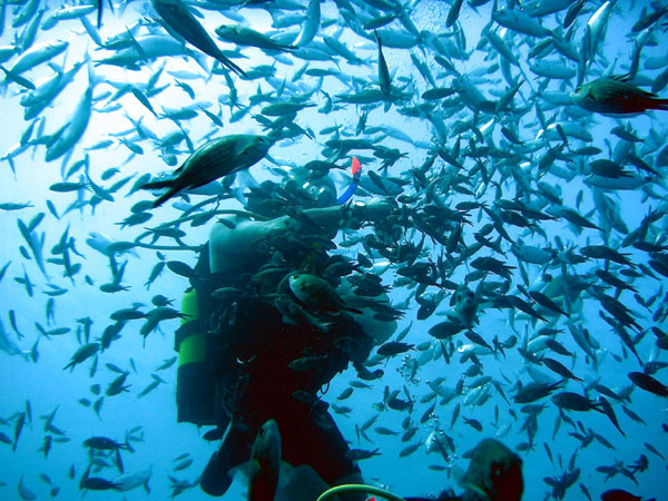 Underwater 5