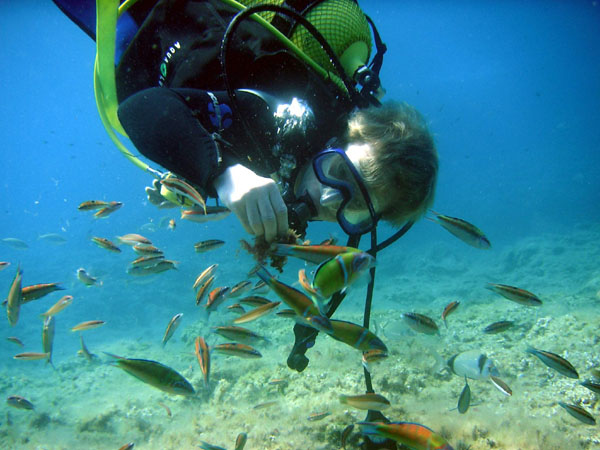 Underwater 8